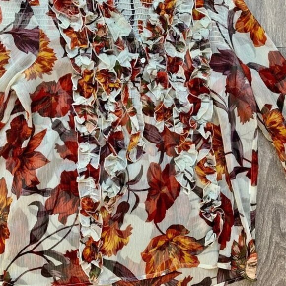 Zara Women’s Blouse Fall Leaf Ruffle Long Sleeve Peasant Flutter Sleeve Sheer M - Picture 8 of 16